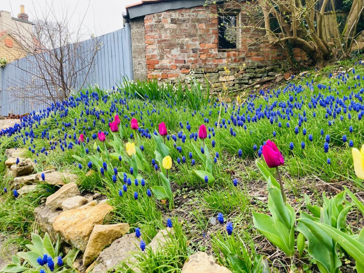 Cosy Cottage Four Miles From Lincoln City Centre 外观 照片